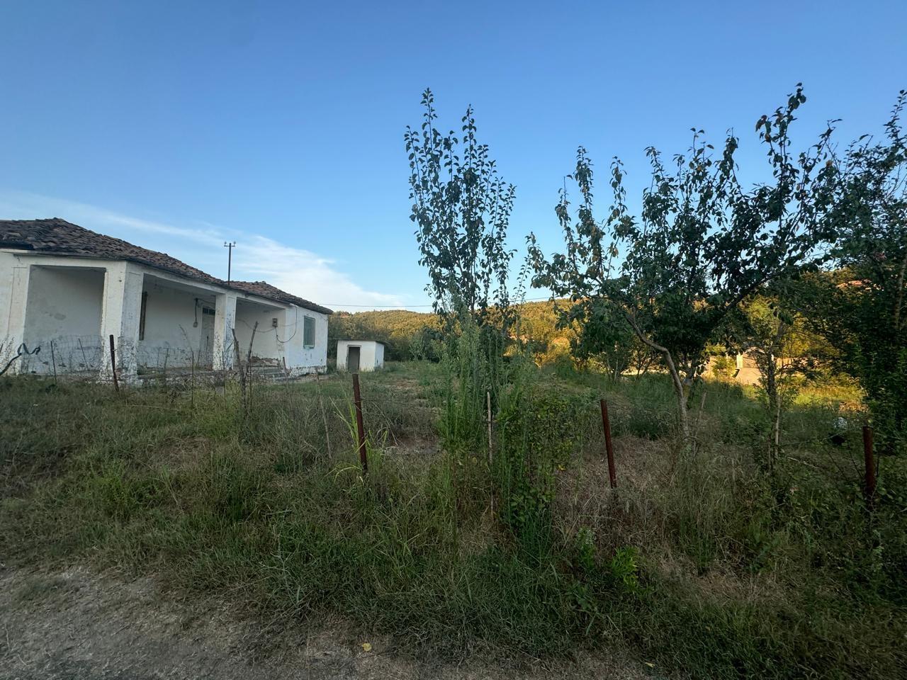 SHTEPI GJIRI LALZIT /2800 m2 TOKE