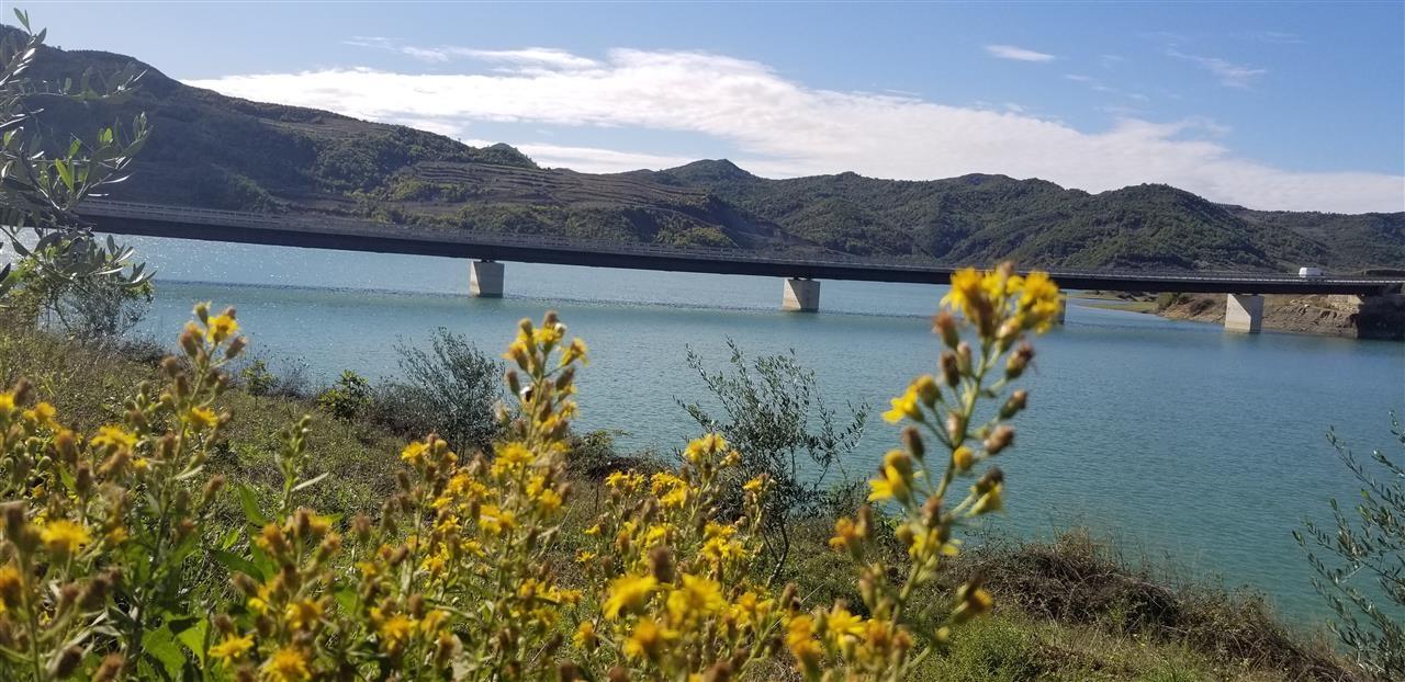 Shitet tokë dhe ndërtesë në Cerujë, Gramsh