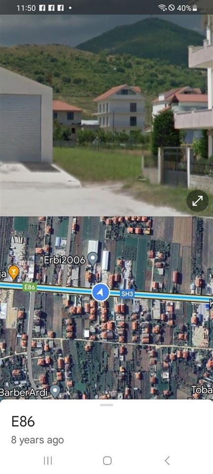 Shitet Toke ne Pogradec