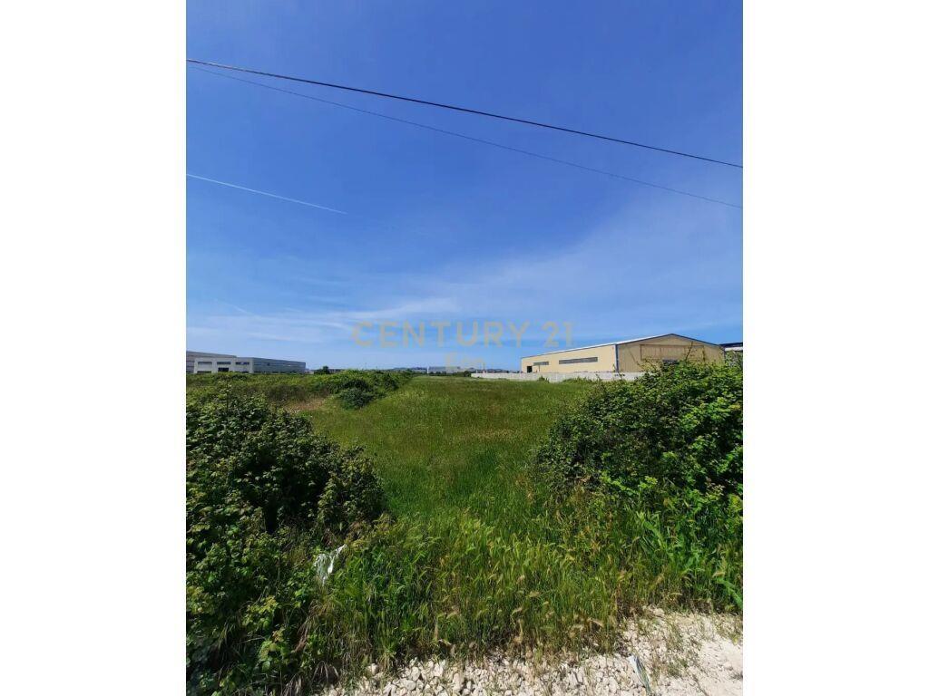 SHITET TOKE NE AUTOSTRADEN TIRANE-DURRES