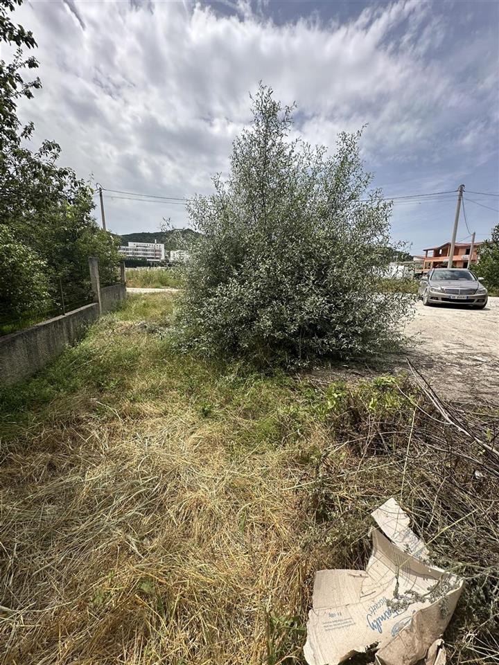 ‼️‼️shitet prona ne vore tek kastrati madh ‼️‼️