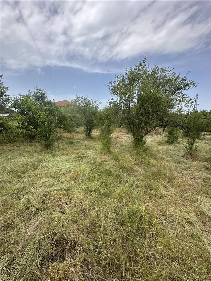 ‼️‼️shitet prona ne vore tek kastrati madh ‼️‼️