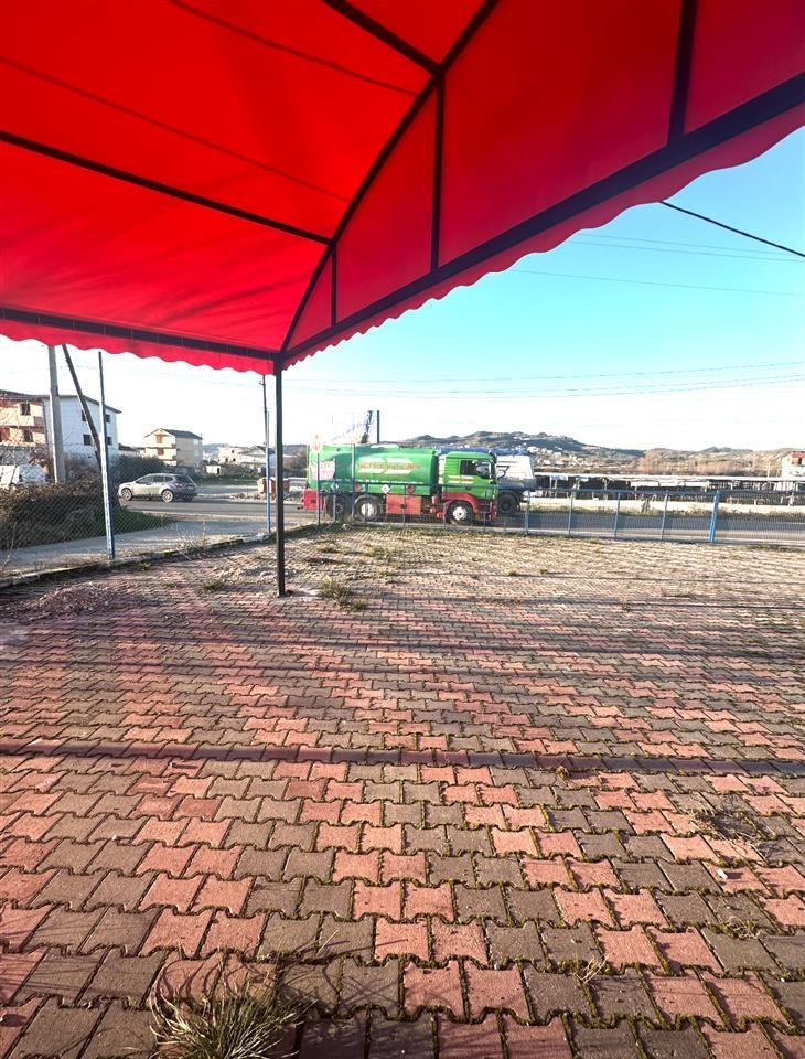 ‼️‼️shitet prona ne vore tek kastrati madh ‼️‼️