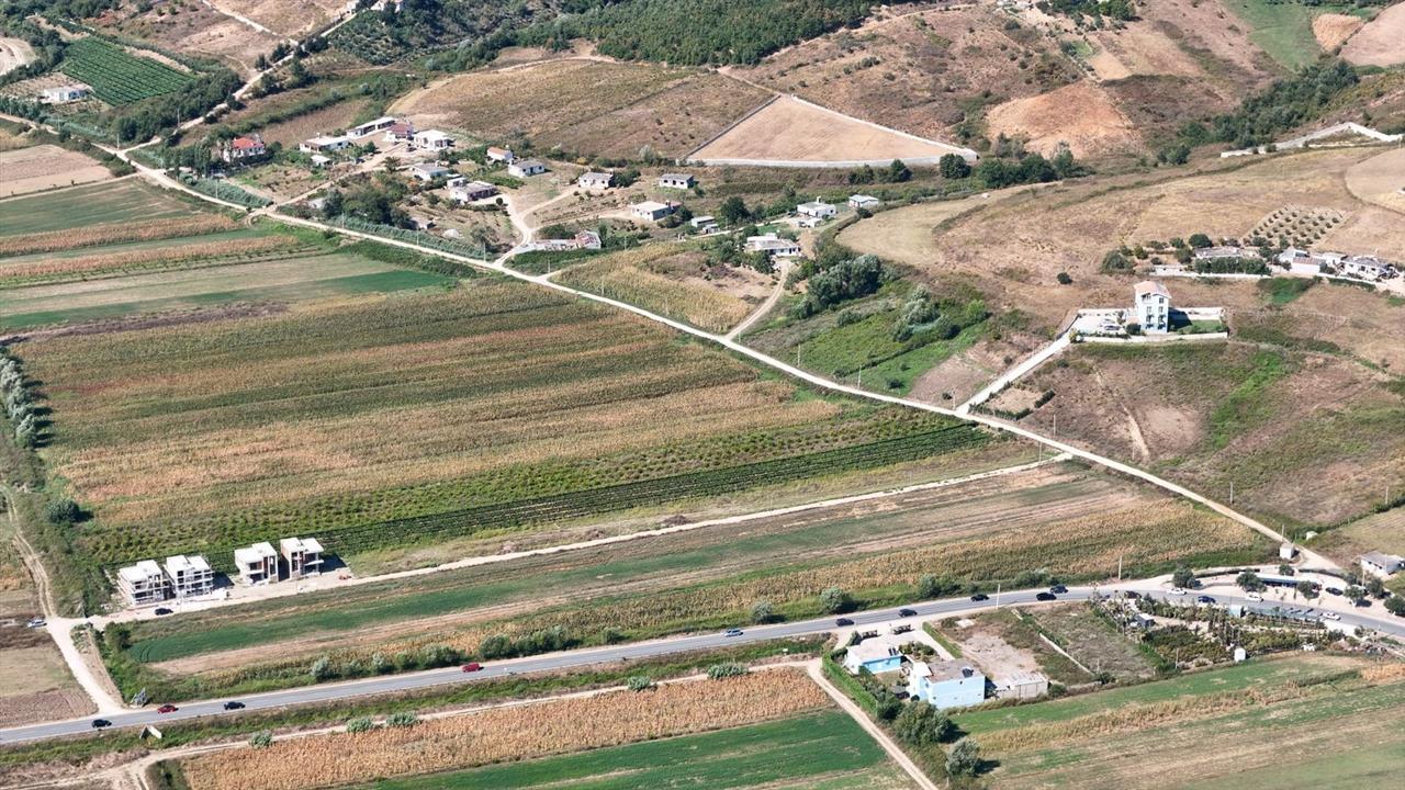 SHITET VILE OKAZION NE GJIRIN E LALEZIT