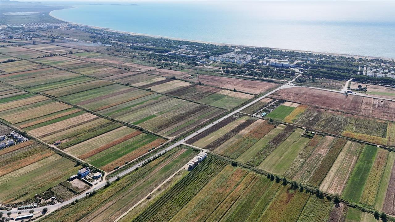 SHITET VILE OKAZION NE GJIRIN E LALEZIT