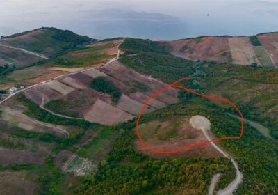 SHITET TOKE SHETAJ DURRES,PER AGROTURIZEM ME RRUGE DHE LINJE
