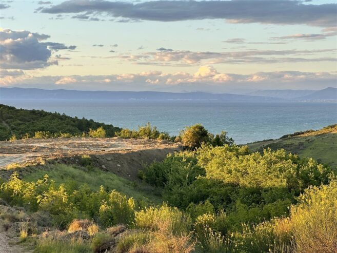 SHITET TOKE SHETAJ DURRES,PER AGROTURIZEM ME RRUGE DHE LINJE