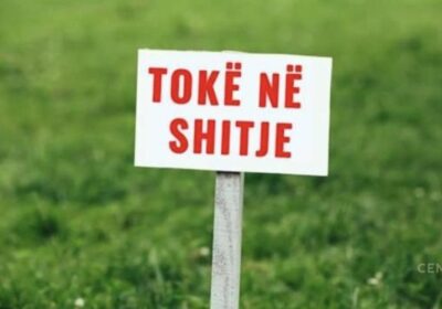 Shitet toke 12 dylym