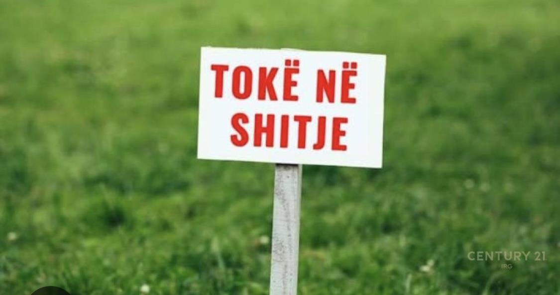 Shitet toke 12 dylym