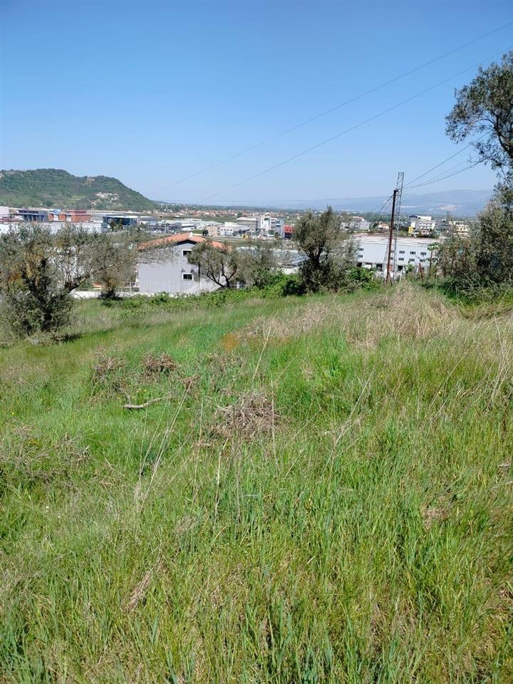 TRUALL NË SHITJE, KASHAR