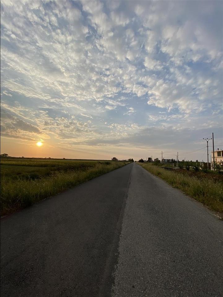 Shitet toke buze rruge ne fllake