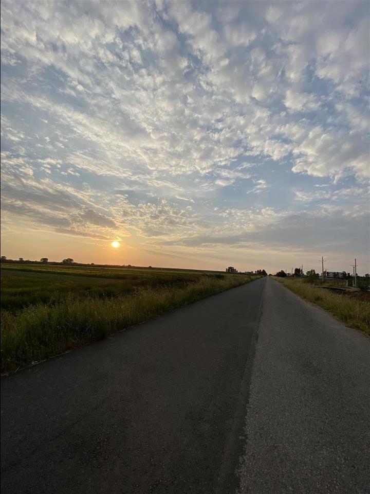 Shitet toke buze rruge ne fllake