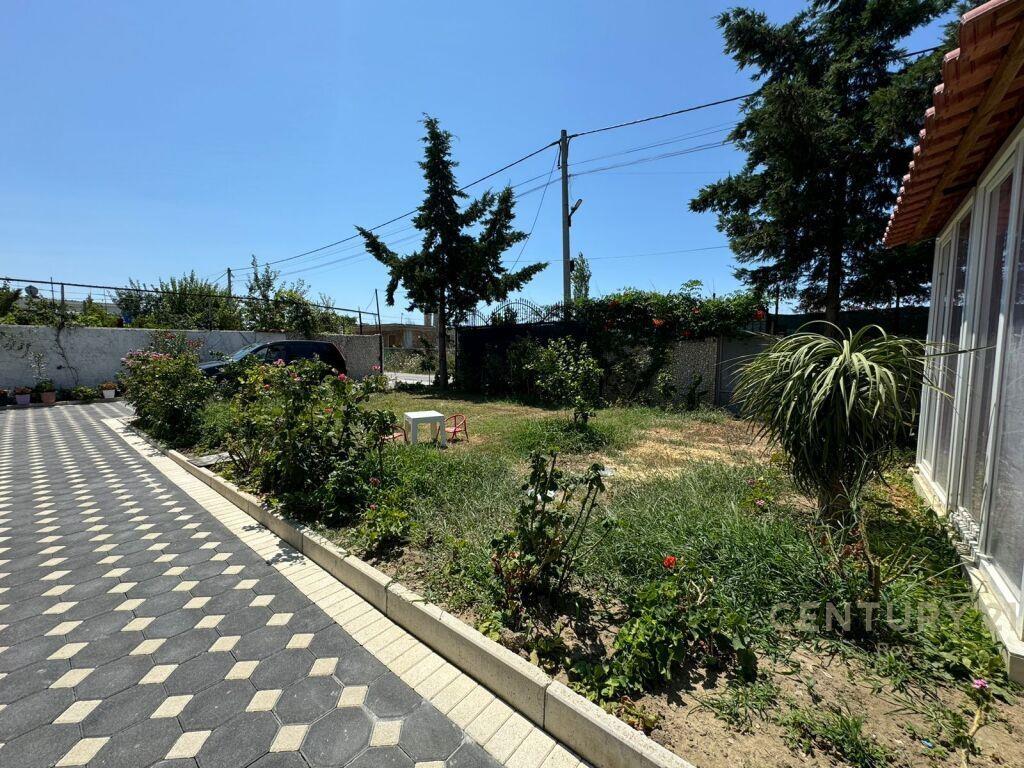 SHITET VILE DY KATESHE NE SPITALLE !