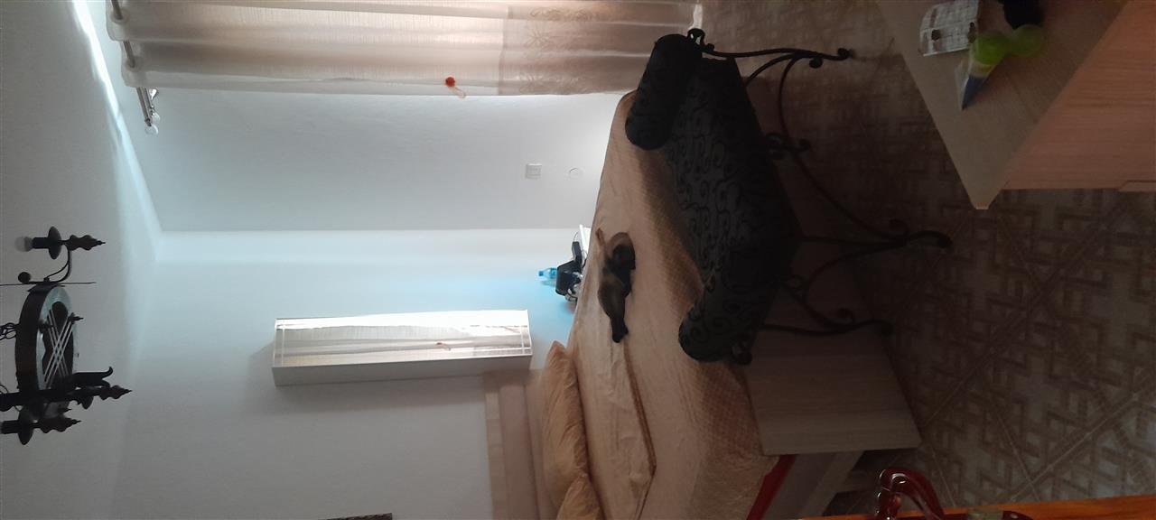 Jepet me qera 1+1, afer sputalit Nene Tereza