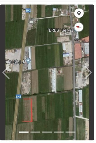MAMINAS SHITET TOKA BUZE AUTOSTRATES DURRES-TIRANE