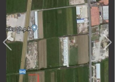 MAMINAS SHITET TOKA BUZE AUTOSTRATES DURRES-TIRANE