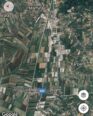 MAMINAS SHITET TOKA BUZE AUTOSTRATES DURRES-TIRANE