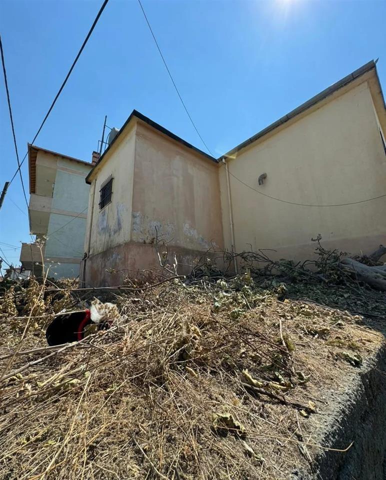 Kavaje,truall +plus shtepi te vjeter afer shkolles “Rilindja