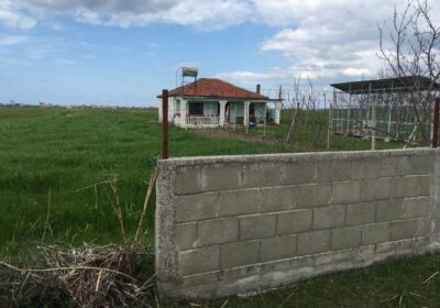 SHITET TOKE 15 MILION/DYLYMI… 4 rrugshi shenavlashit