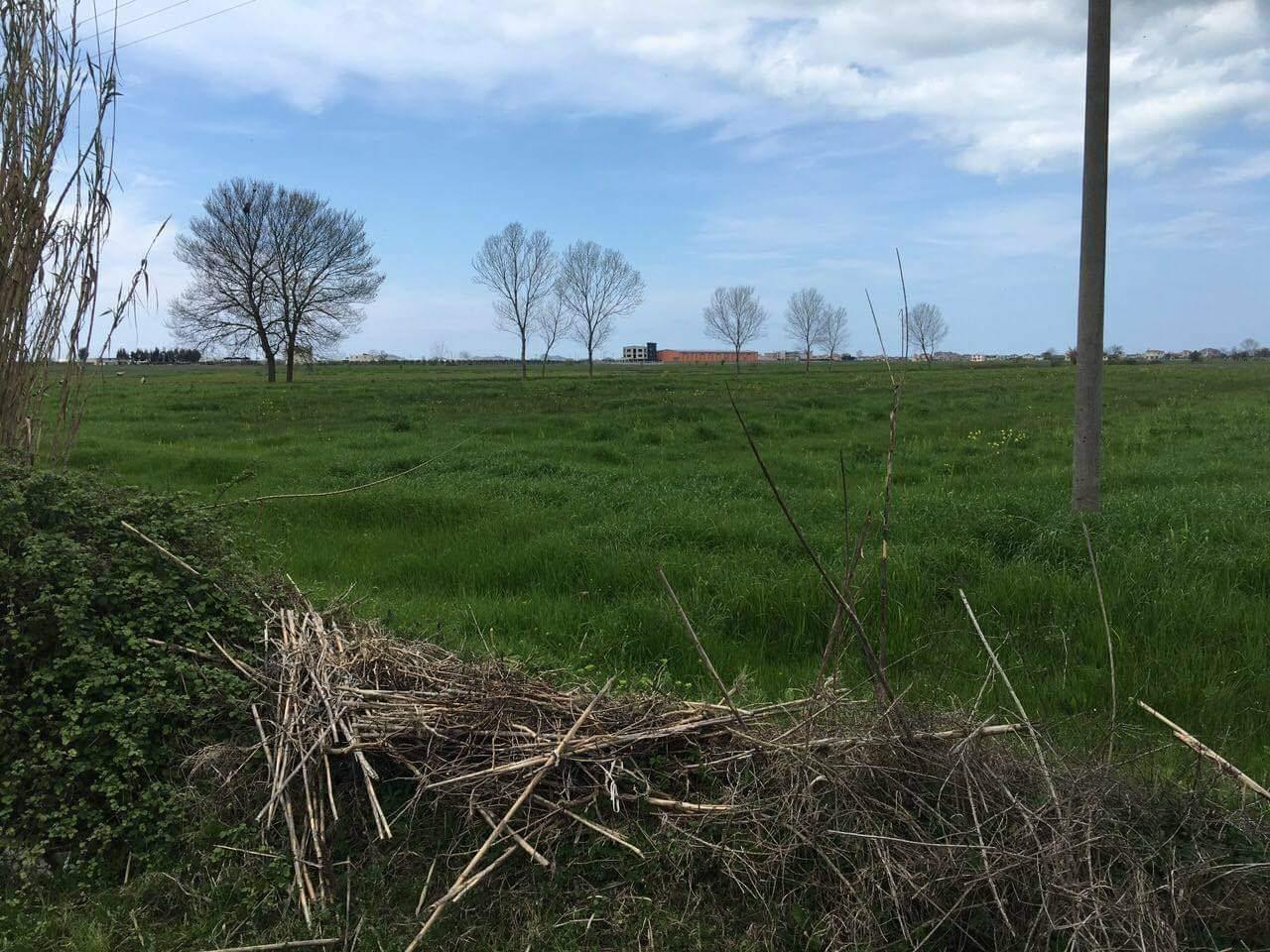 SHITET TOKE 15 MILION/DYLYMI… 4 rrugshi shenavlashit