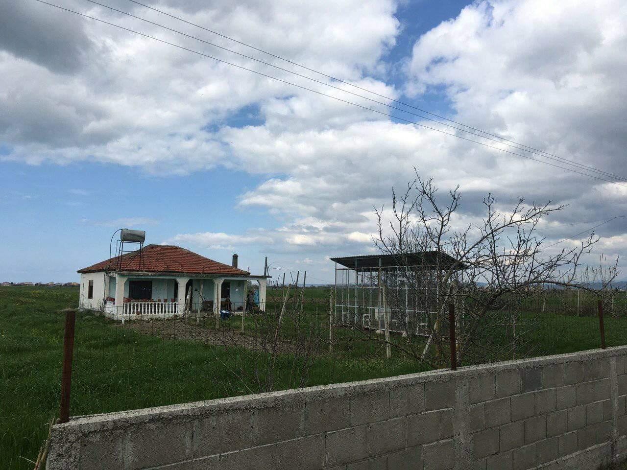 SHITET TOKE 15 MILION/DYLYMI… 4 rrugshi shenavlashit