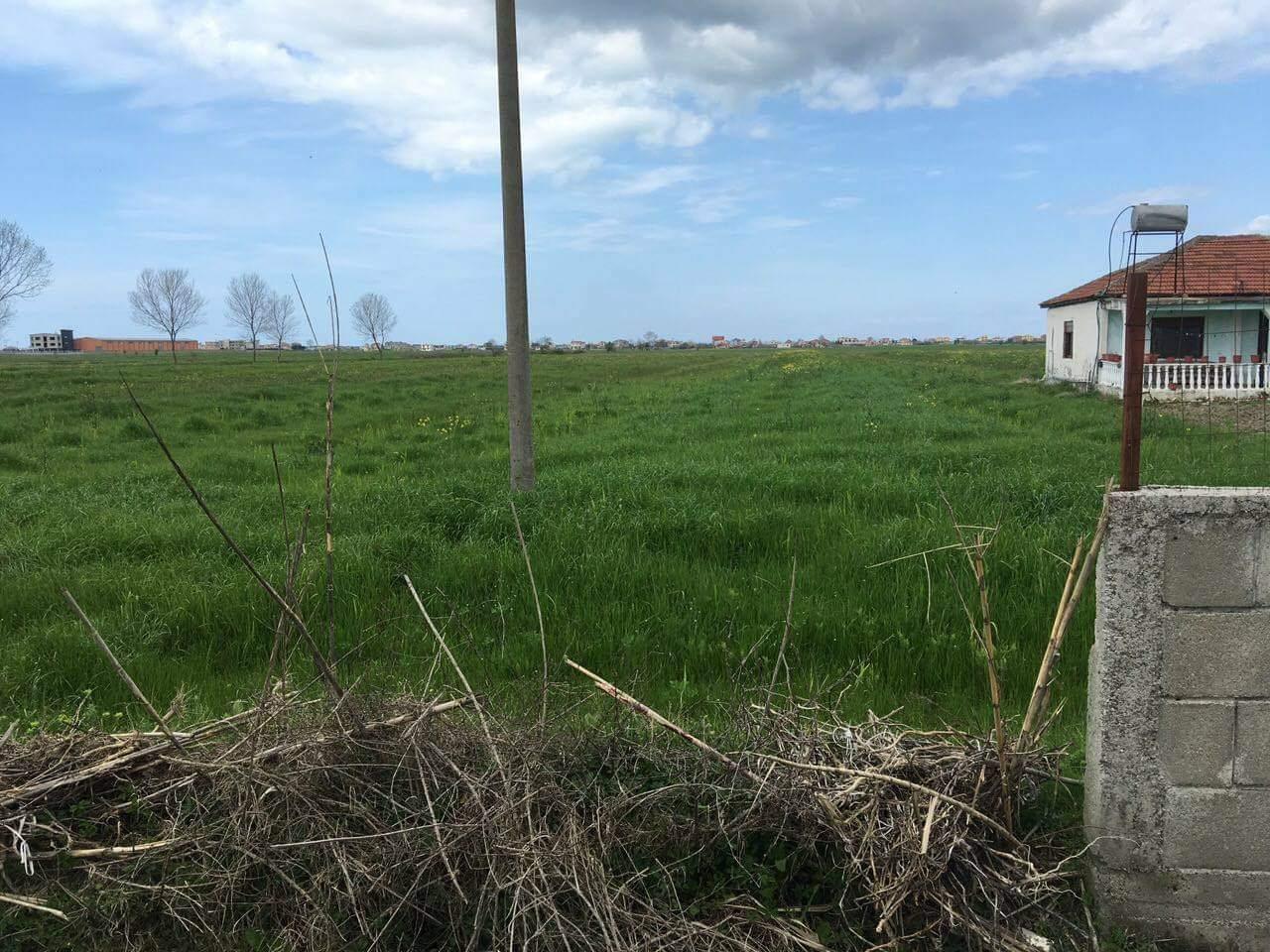 SHITET TOKE 15 MILION/DYLYMI… 4 rrugshi shenavlashit