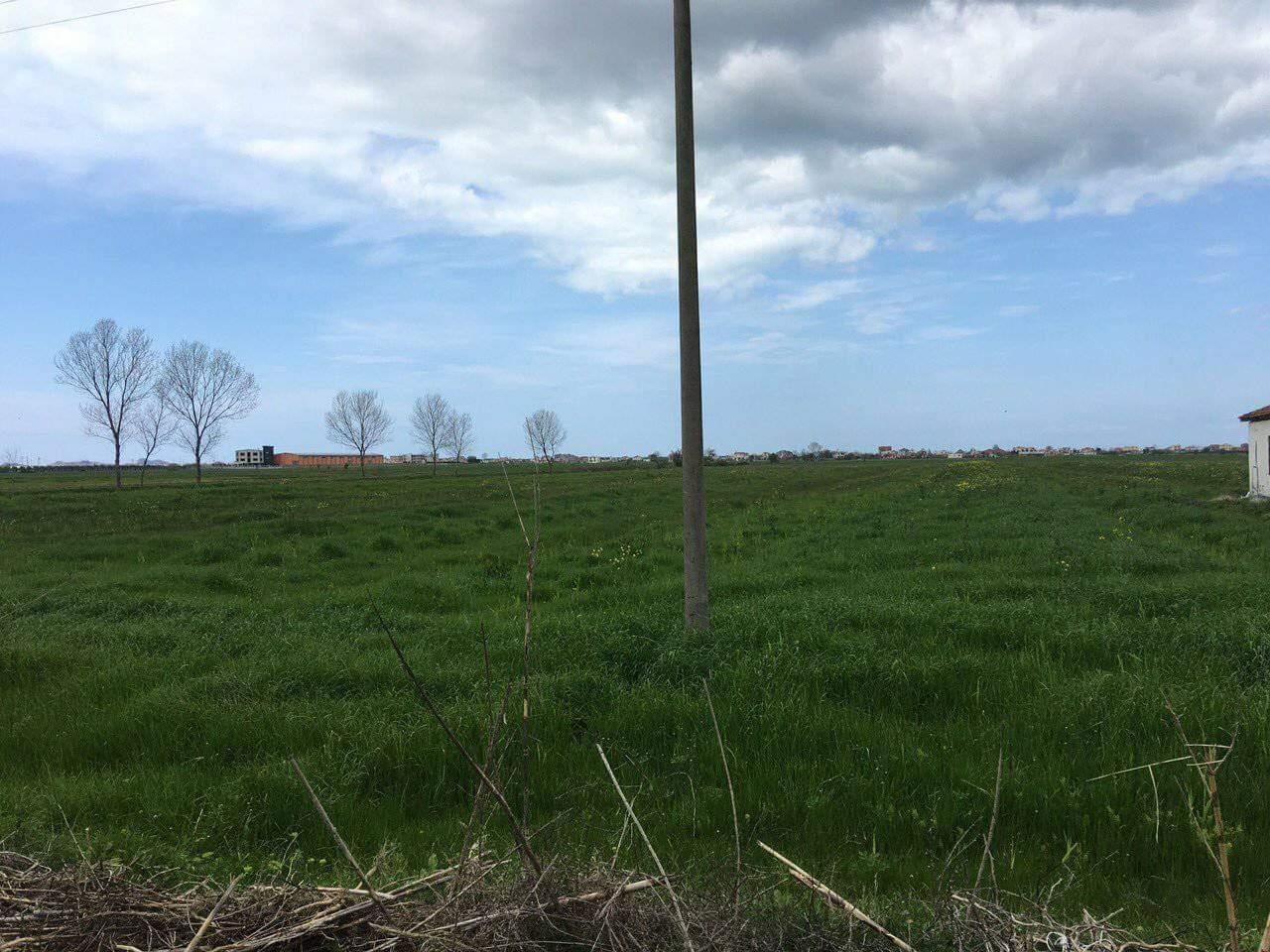 SHITET TOKE 15 MILION/DYLYMI… 4 rrugshi shenavlashit