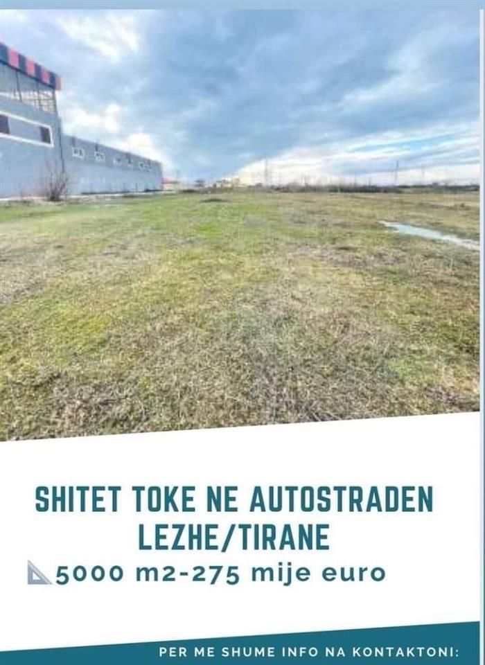 Shitet toka aut. Lezhe tirane km 3