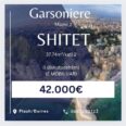 shitet garsoniere Miami 2