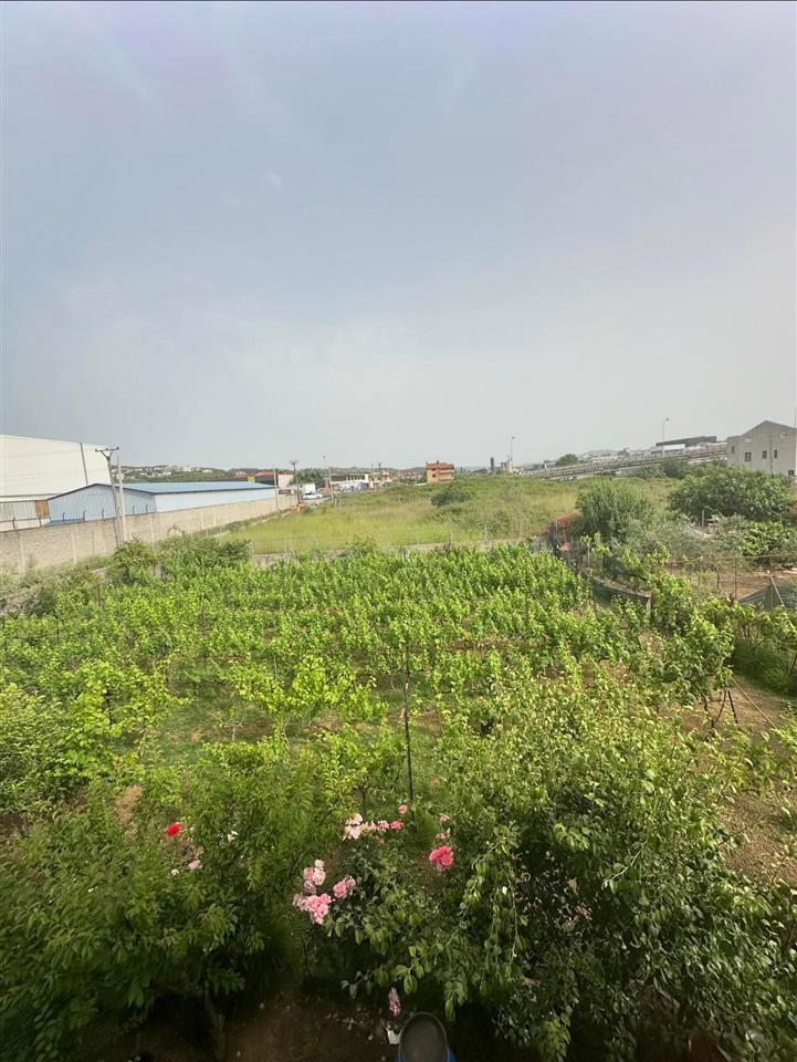 shitet toka me cmim okazion ne vore