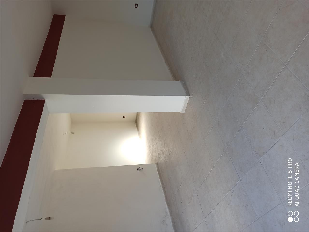 POGRADEC SHITET DYQAN