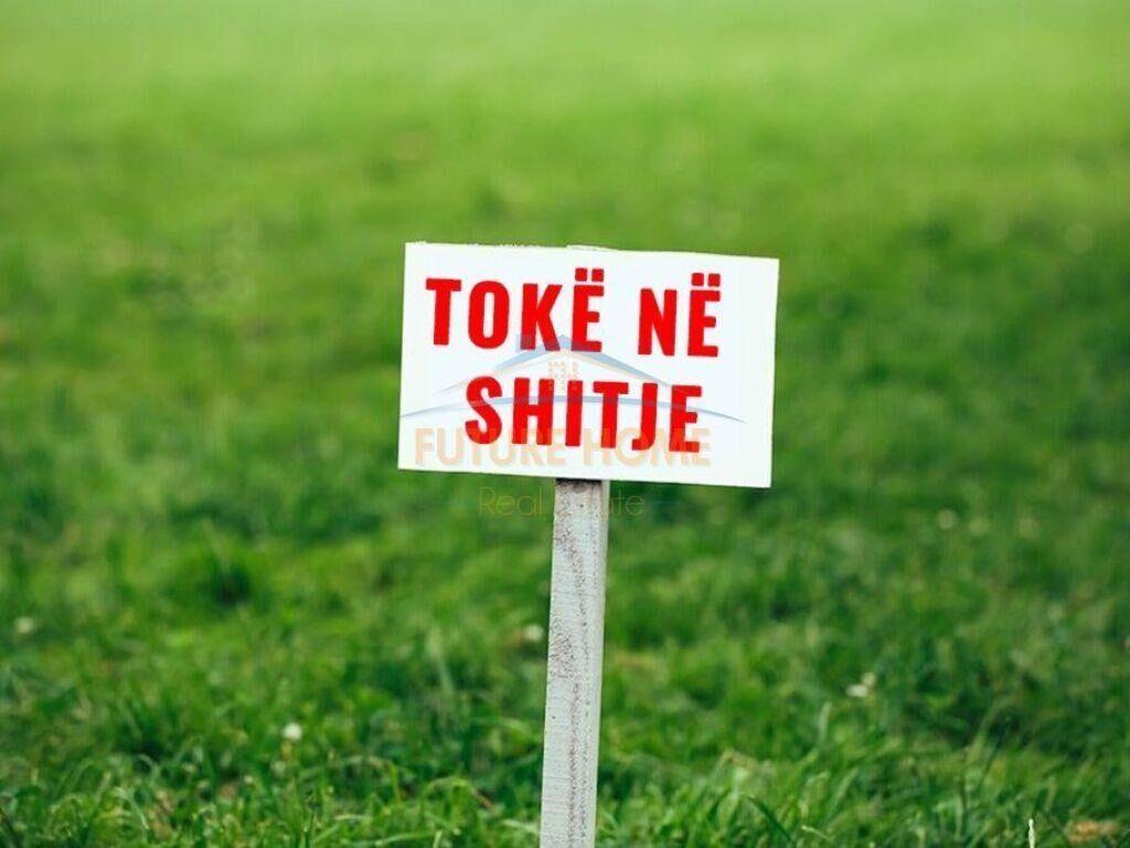 Shitet, Tokë, Gjiri Porto Palermos.