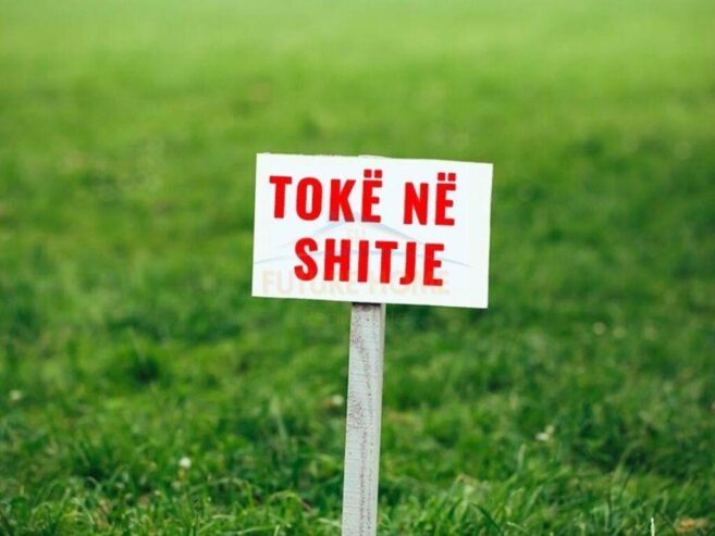 Shitet, Tokë, Borsh.