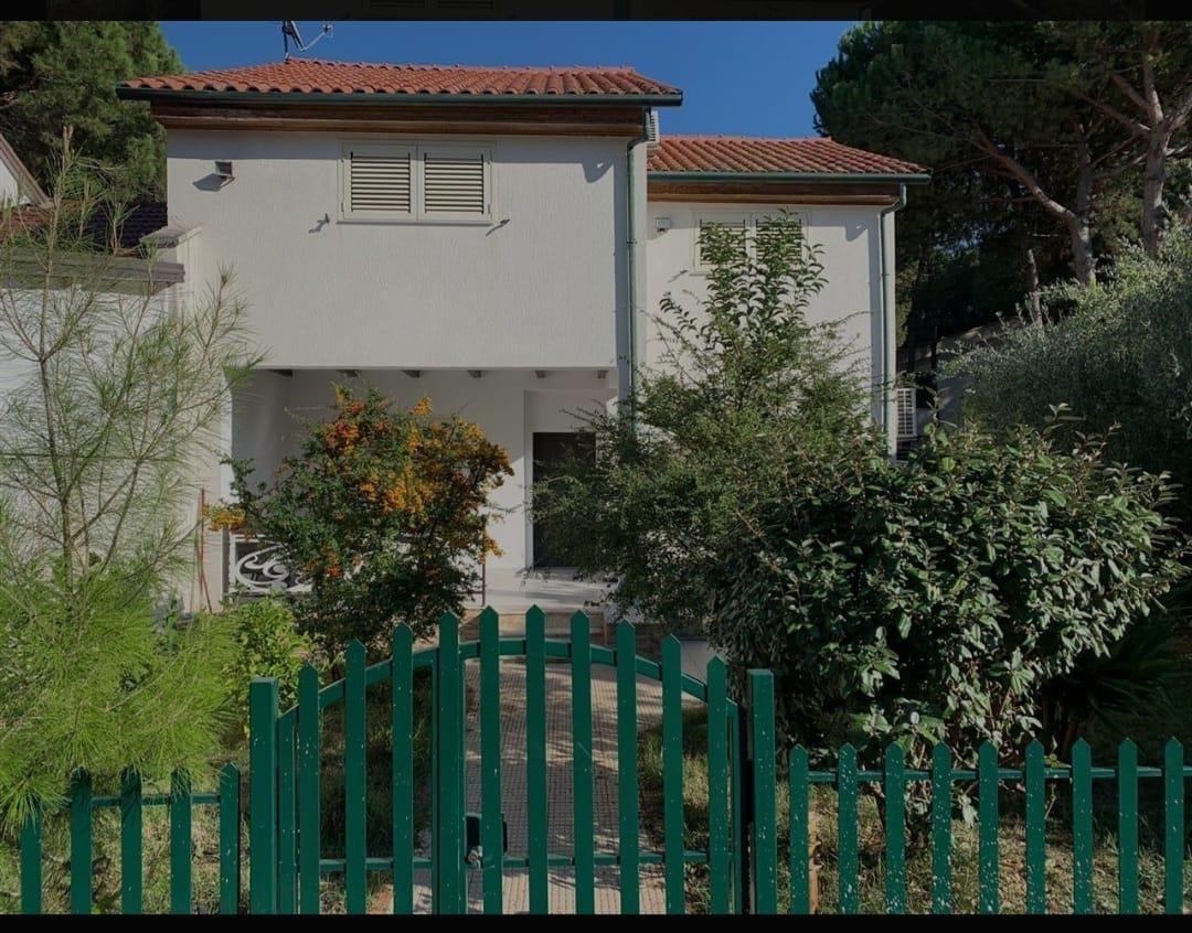 Vile ne shitje ne fshatin turistik pishat e buta