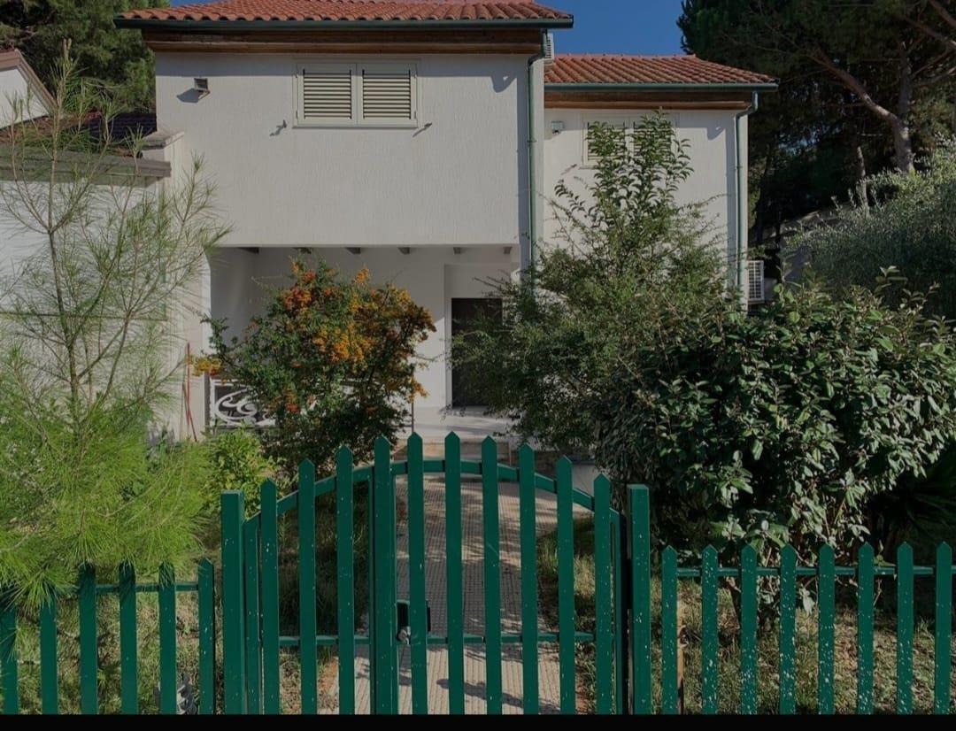 Vile ne shitje ne fshatin turistik pishat e buta