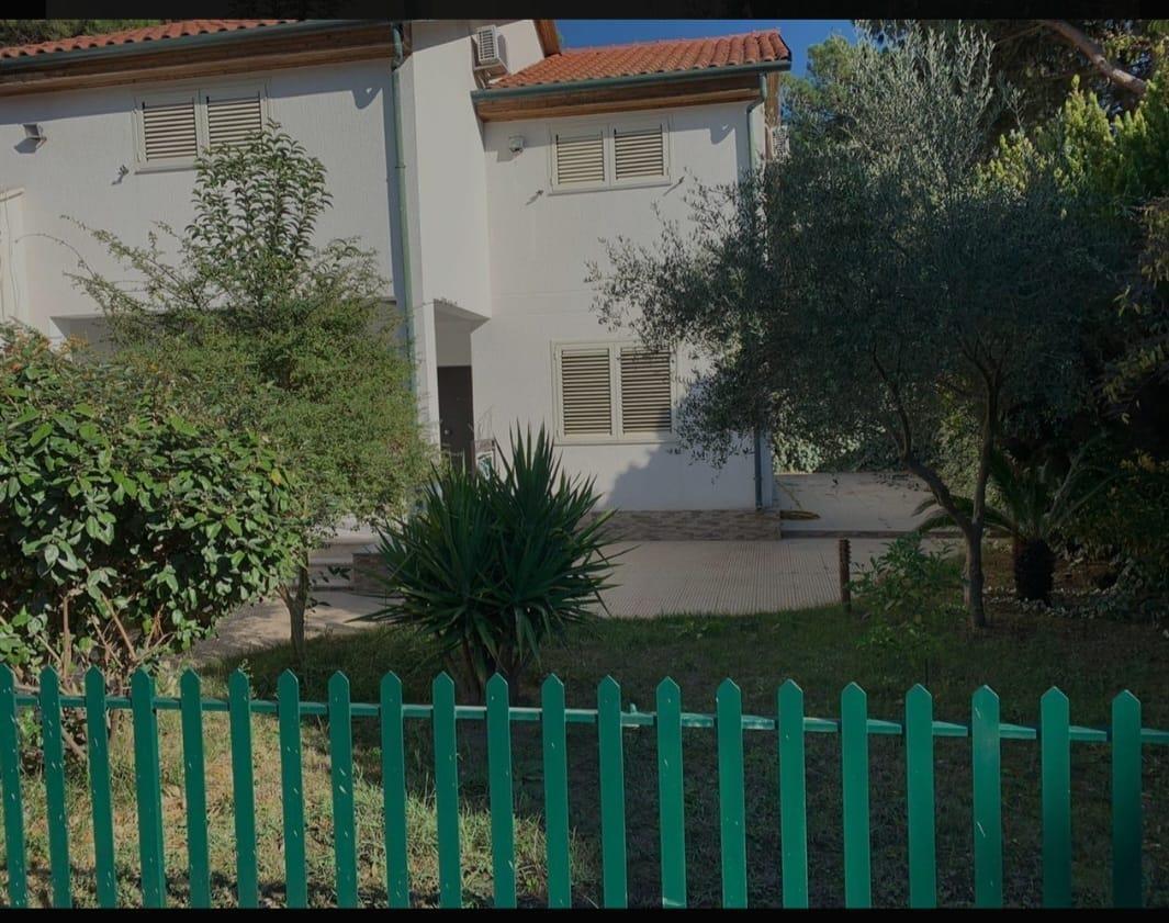 Vile ne shitje ne fshatin turistik pishat e buta