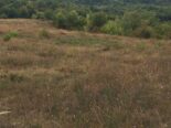 SHITET TOKE 5,500m² PRANE LIQENIT TE GURRES