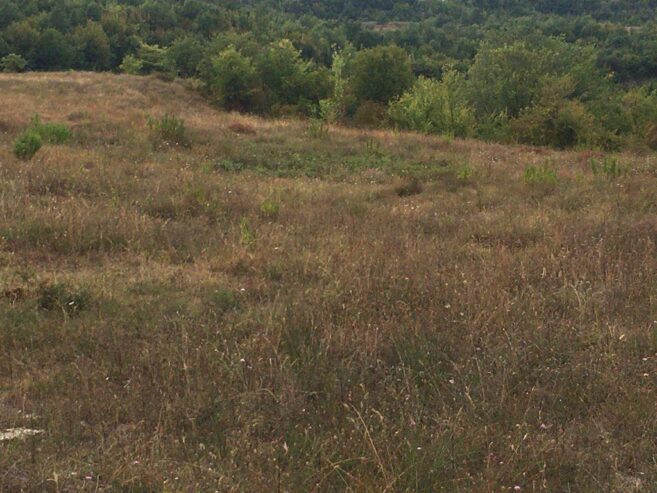 SHITET TOKE 5,500m² PRANE LIQENIT TE GURRES