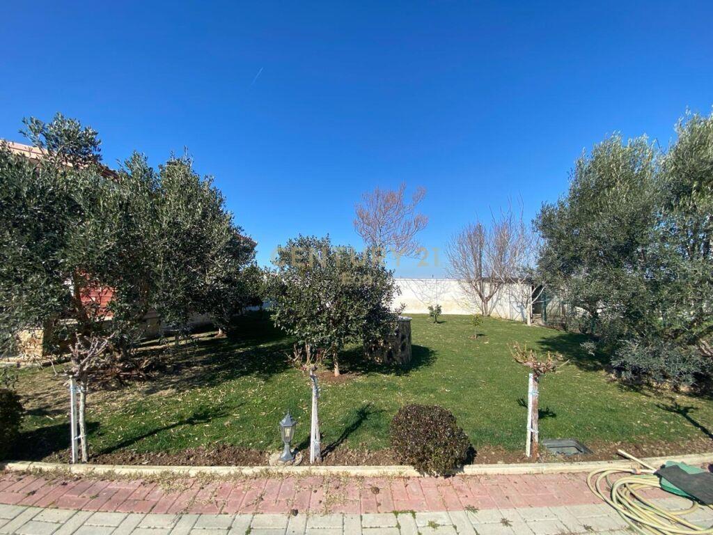 SHITET SUPER VILE NE XHAFZOTAJ DURRES!