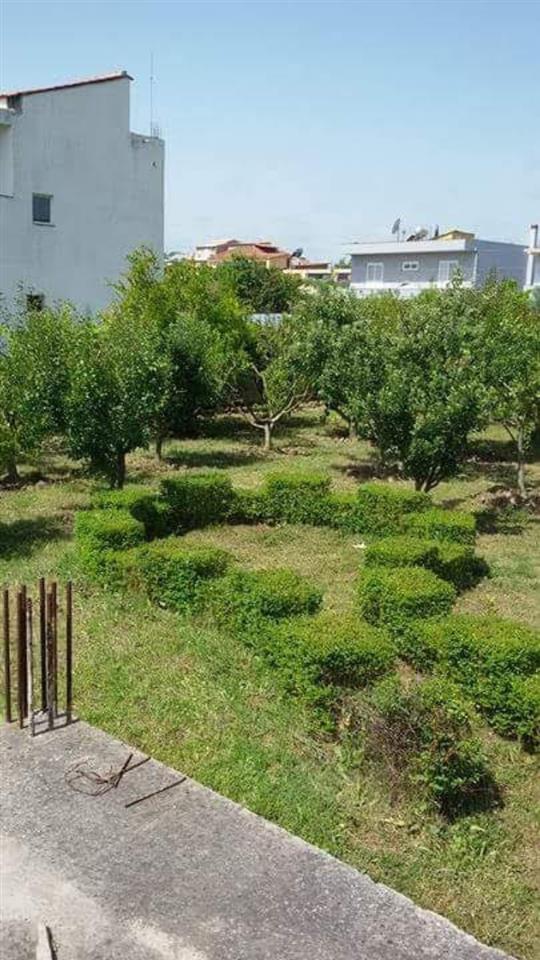 Shitet Truall per ndertim