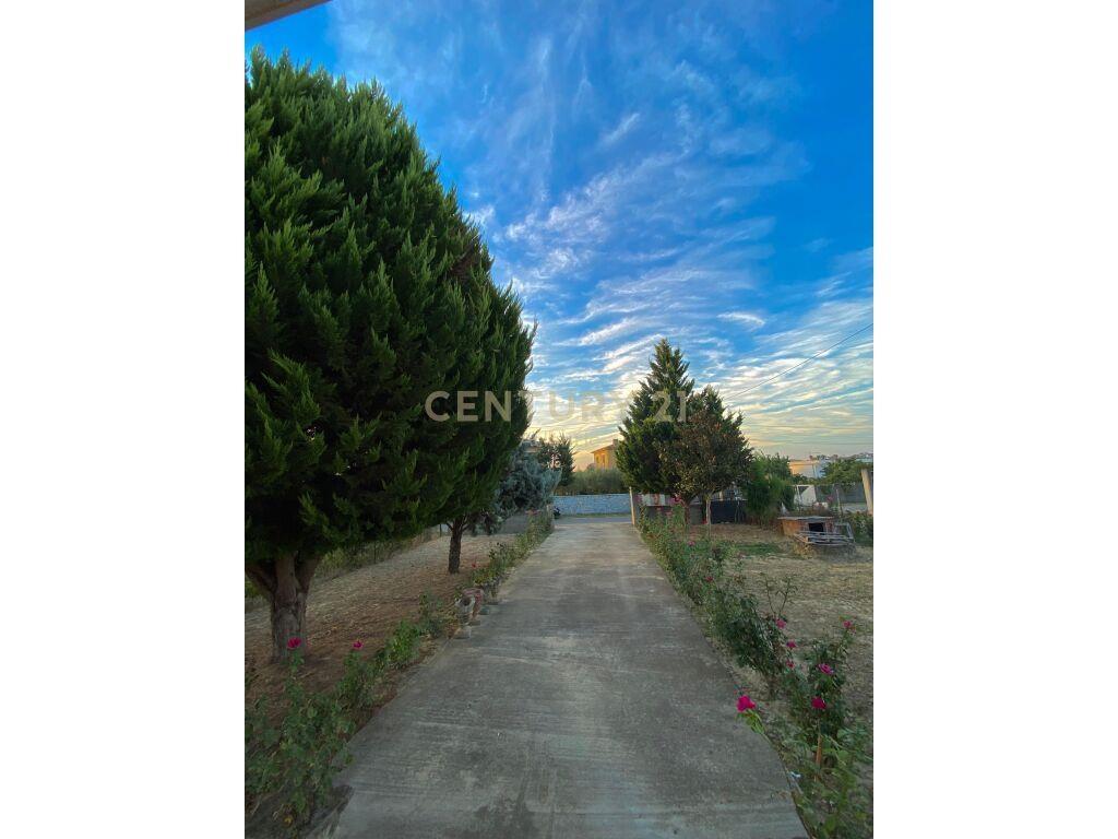 SHITET SHTEPI PRIVATE NE RRETH~SHIJAK!