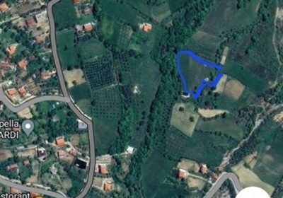 Okazion shitet Toke ne fshatin” PELLUMBAS” Tirane