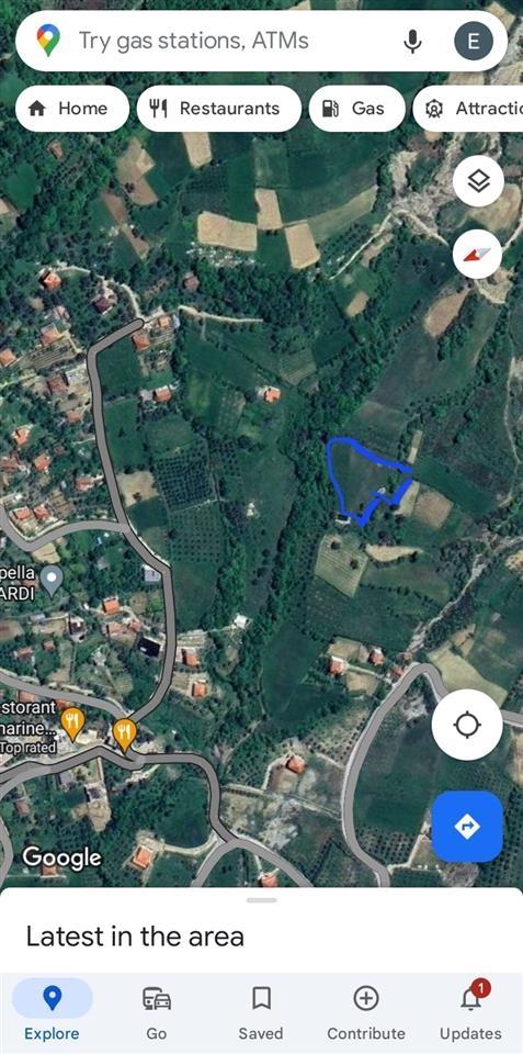 Okazion shitet Toke ne fshatin” PELLUMBAS” Tirane