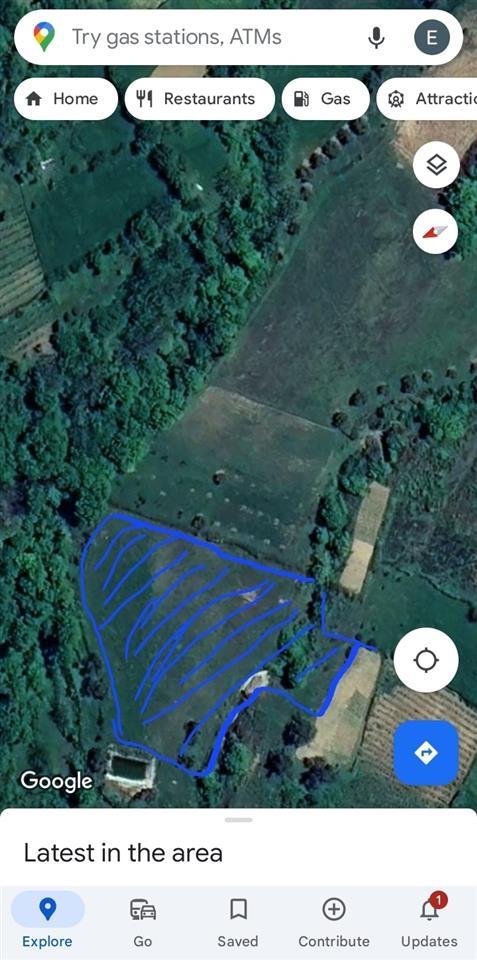 Okazion shitet Toke ne fshatin” PELLUMBAS” Tirane