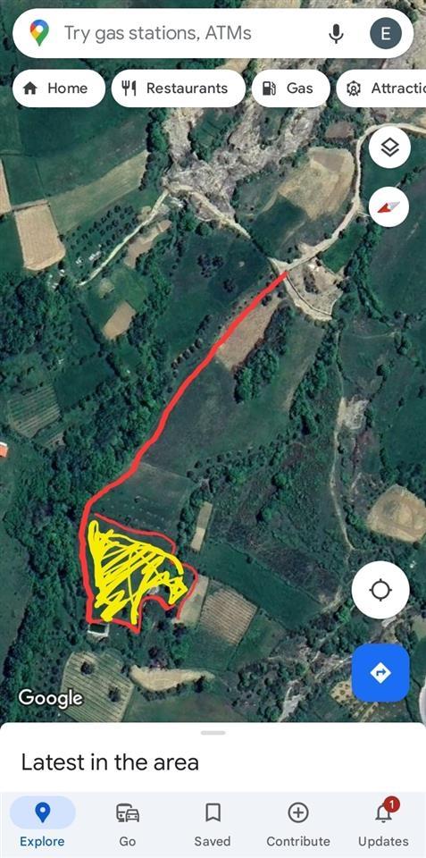 Okazion shitet Toke ne fshatin” PELLUMBAS” Tirane