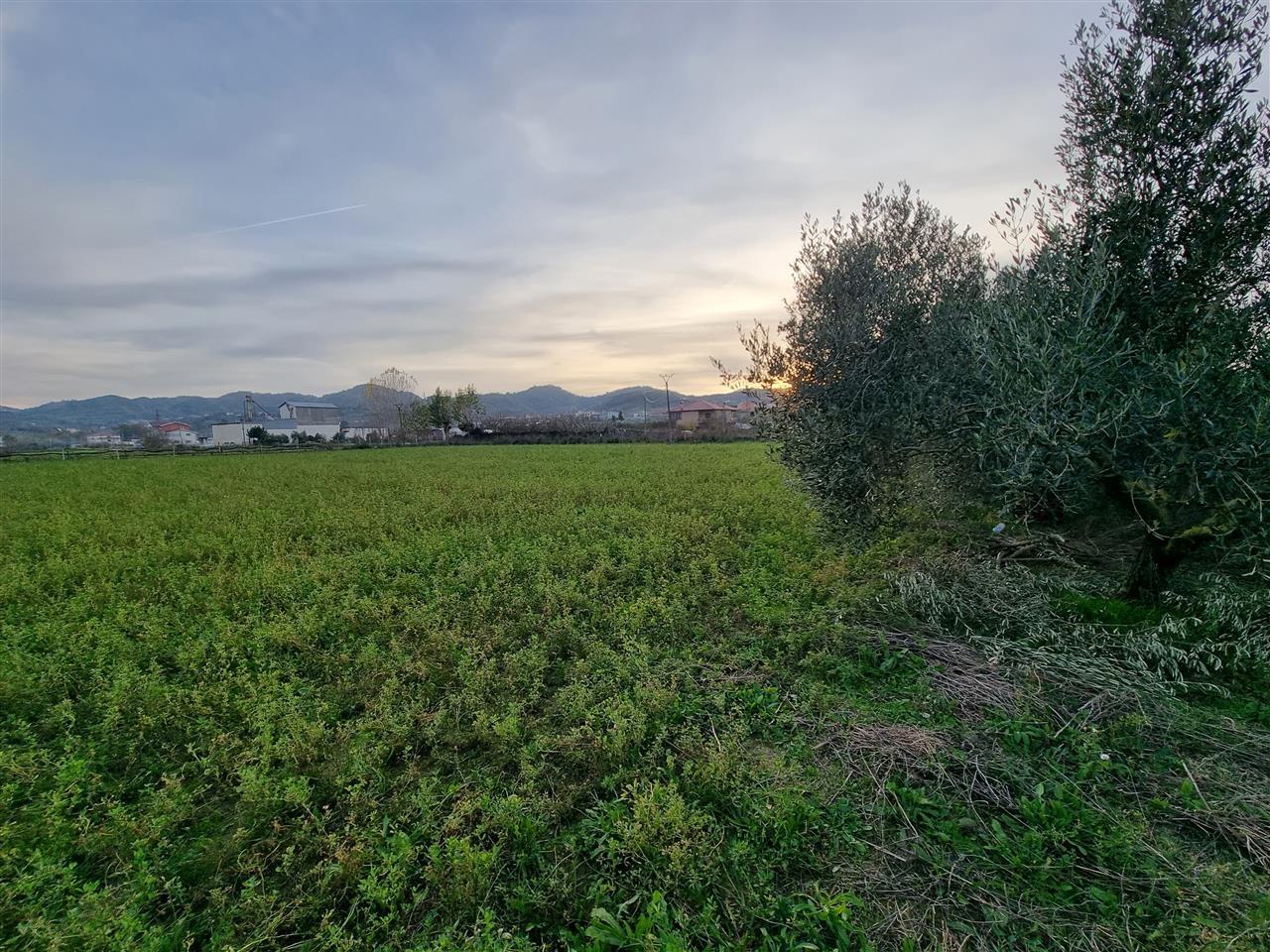 Romanat/Durres. Shitet ose Nderrohet