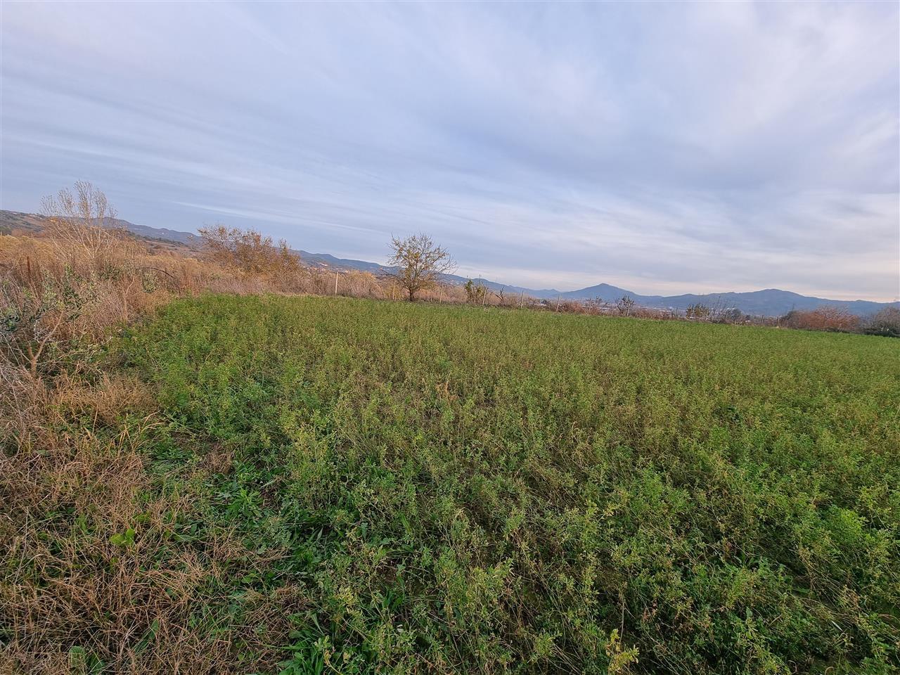 Romanat/Durres. Shitet ose Nderrohet