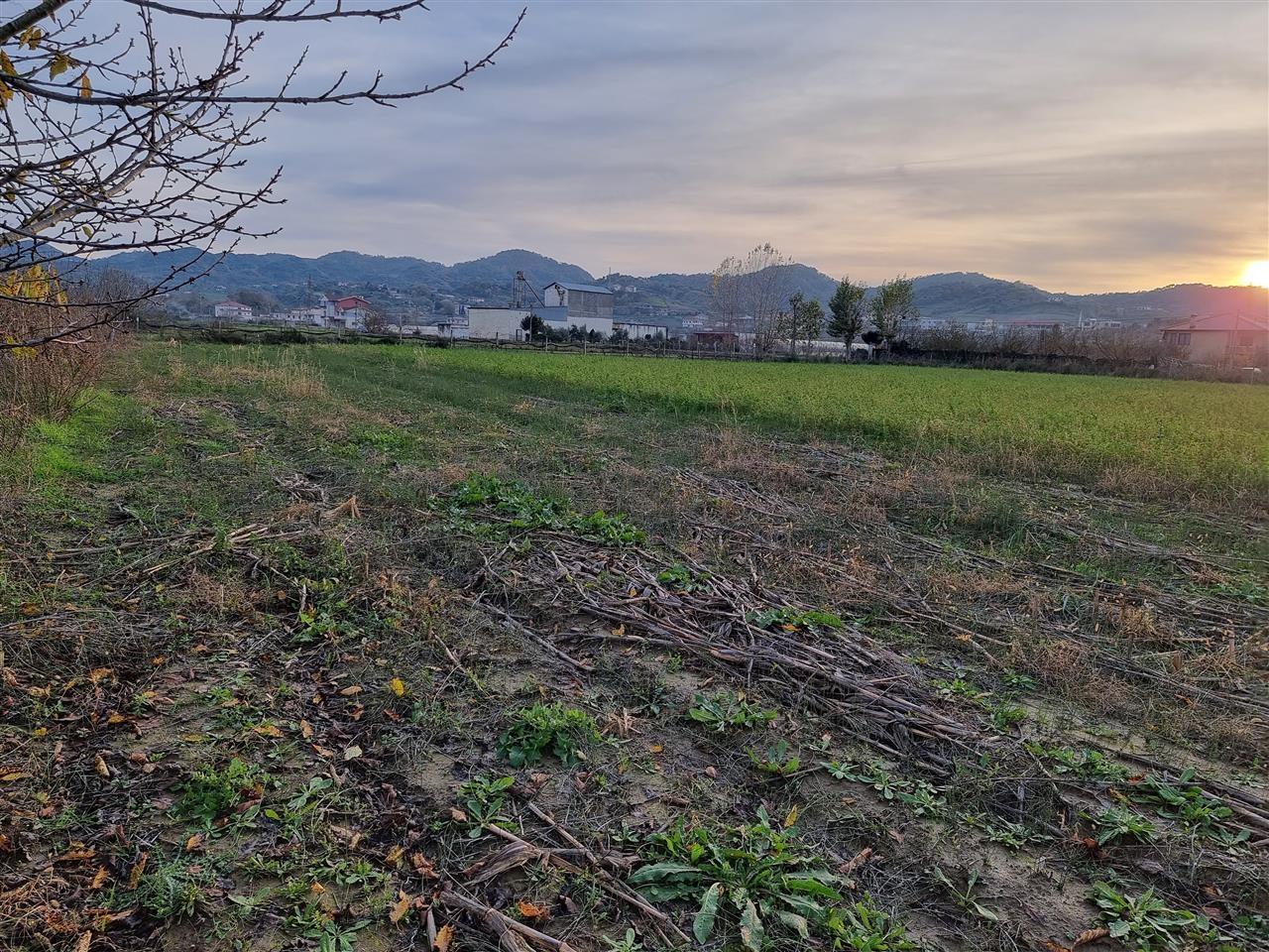 Romanat/Durres. Shitet ose Nderrohet