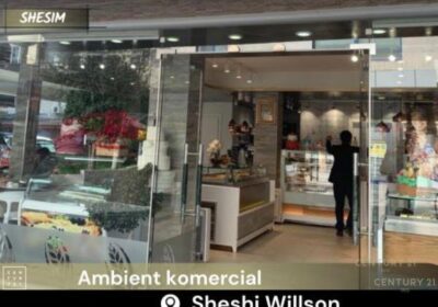 Tek Sheshi Willson ambient komercial