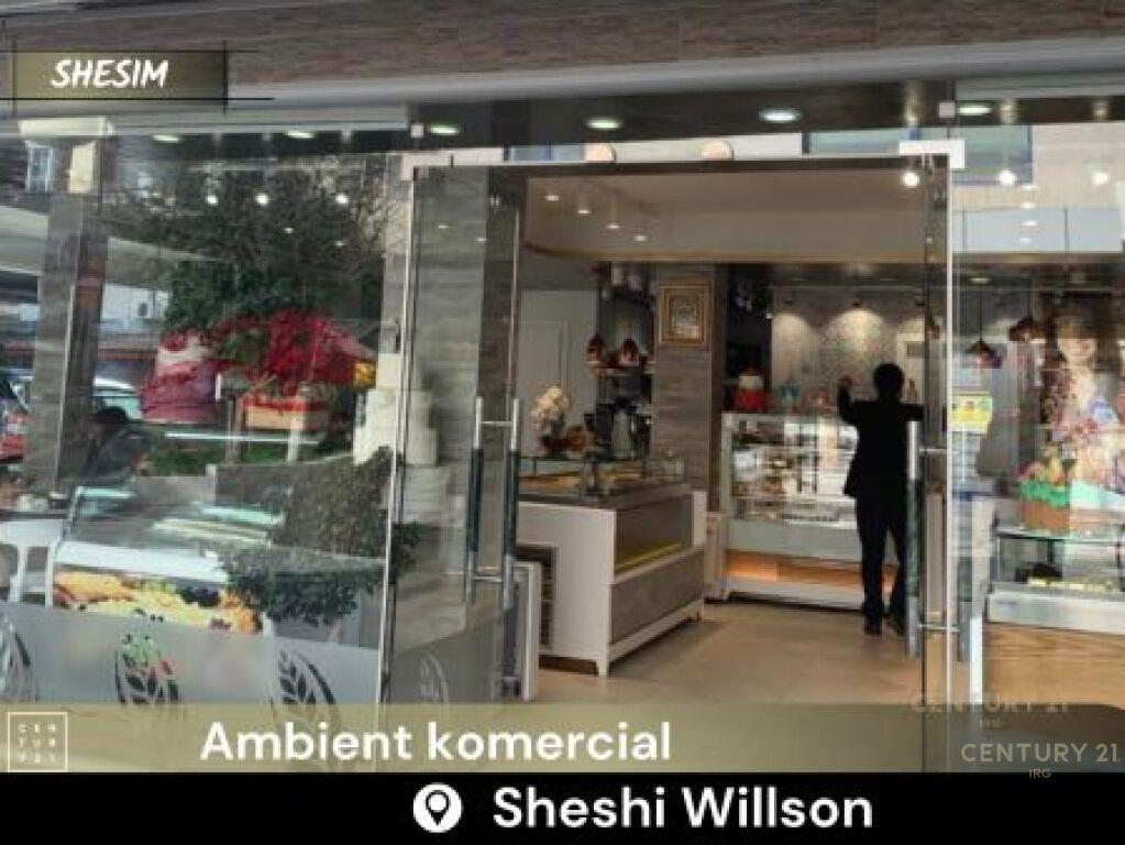 Tek Sheshi Willson ambient komercial